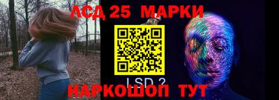 гидра Боровичи