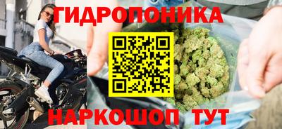 гидра Боровичи
