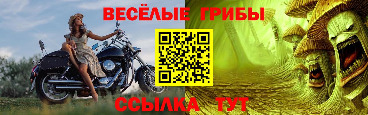 Галлюциногенные грибы Psilocybine cubensis Альметьевск